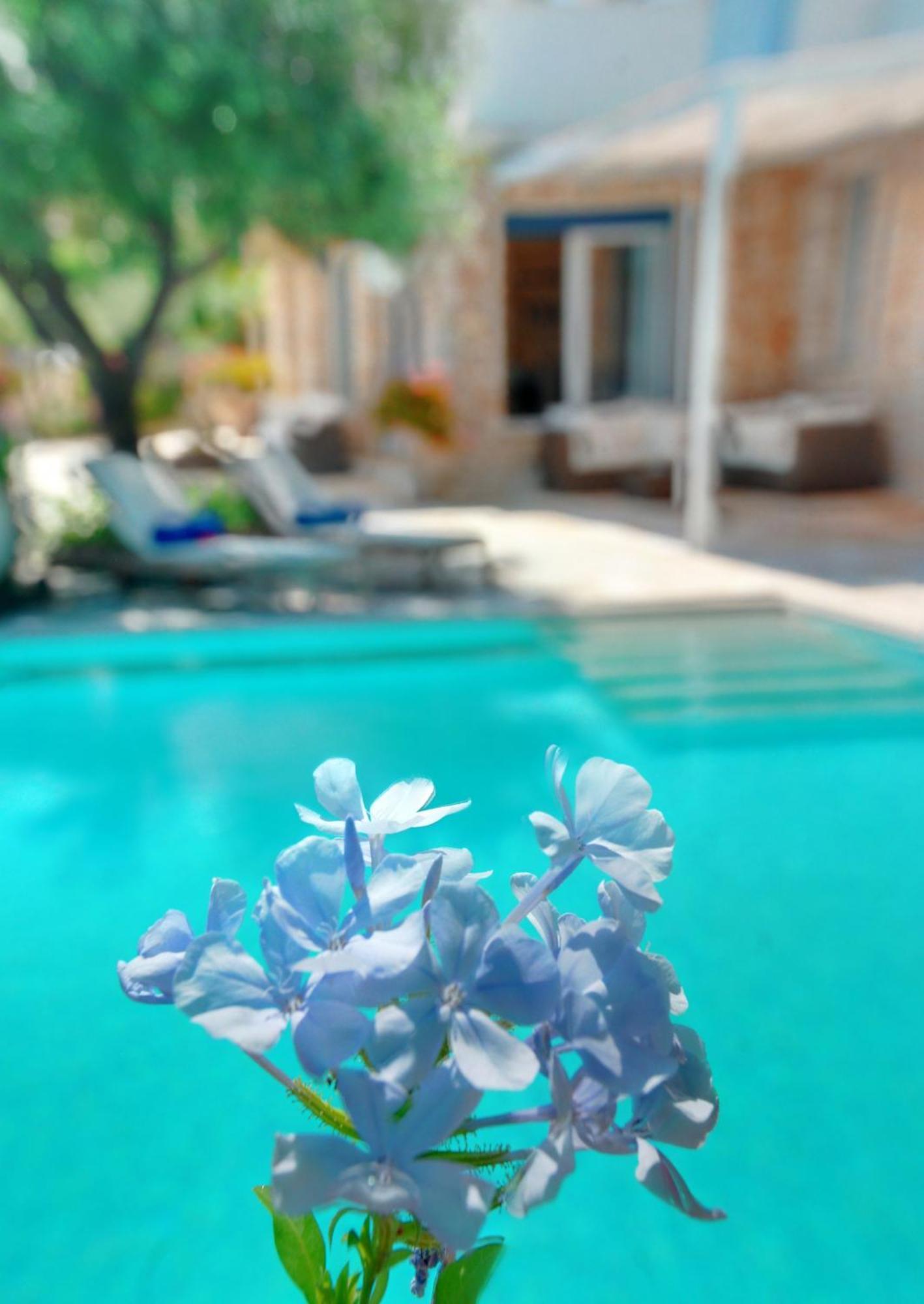 Corfu Luxury Villas Барбати Номер фото